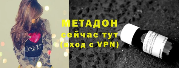 стаф Алзамай