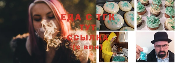 стаф Алзамай