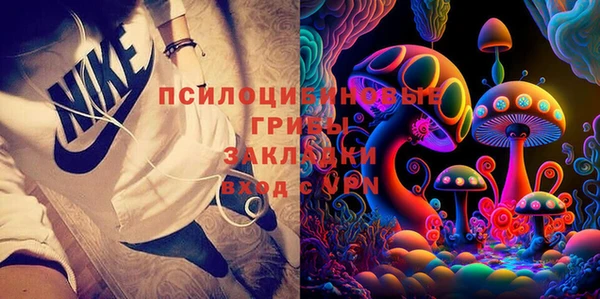 стаф Алзамай