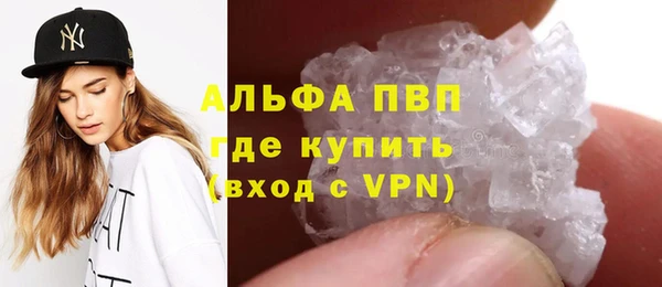 стаф Алзамай