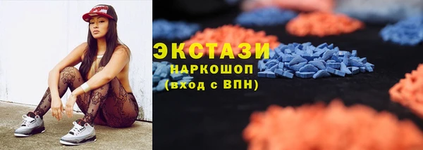 стаф Алзамай