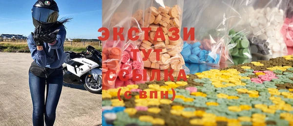 стаф Алзамай