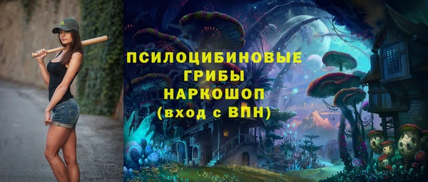 стаф Алзамай