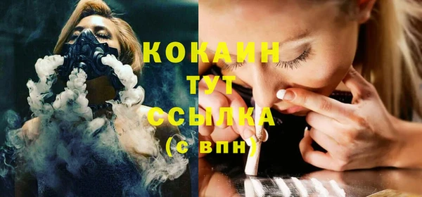 стаф Алзамай